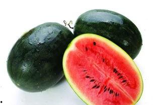 唐月明吃大瓜,揭秘吃大瓜的欢乐时光