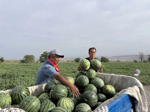 坟前吃瓜,揭秘古代丧葬习俗中的奇特现象