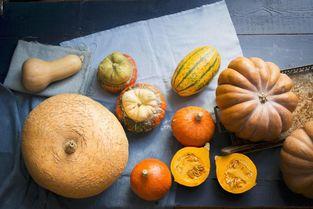 揭阳小雪吃瓜,瓜界新宠，甜蜜瓜果的甜蜜诱惑