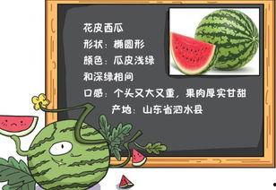 吃瓜盟主读稿,娱乐圈幕后真相大曝光