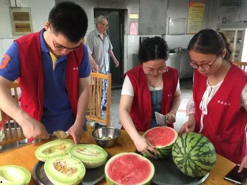 楼下老太吃瓜,楼下老太的瓜田奇遇记