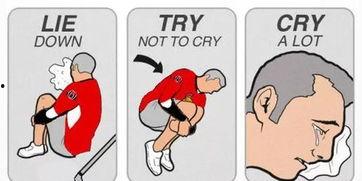 吃瓜体验后续,揭秘吃瓜背后的趣味与真相