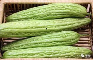 梦见吃瓜是苦里,苦中吃瓜的寓意与启示