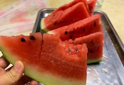 什么动物吃地雷瓜,神秘动物的天赐美食