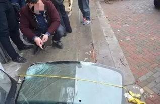 车辆肇事路边吃瓜