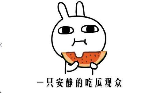 吃瓜事,吃瓜群众视角下的娱乐圈风云录