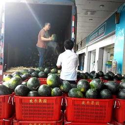 吃瓜视频小苹果