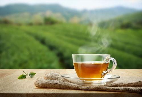 立秋饮茶吃瓜海报,品茗赏瓜，传统习俗新风尚